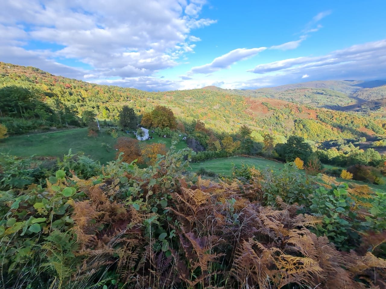 Фотография номер 3